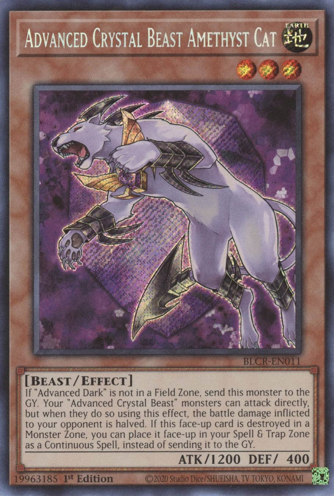 cat yugioh cards Amazon.com: Watch Cat - FLOD-EN028 - Common - 1st Edition